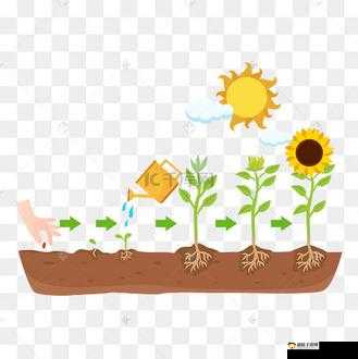 诺弗兰物语培育作物秘籍：掌握技巧让时间大幅缩短玩法全析