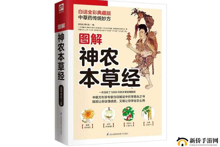 神医药理奥秘：传统疗法与草药精粹全景探索