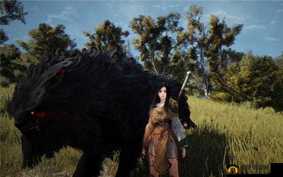 黑色沙漠手游探索：北部大农场主人的隐秘位置全揭秘