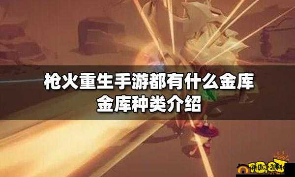 枪火重生：金库全种类揭秘指南