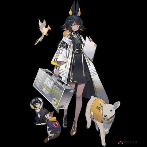 伊姆赫特技能深度剖析：云图计划中的战术核心