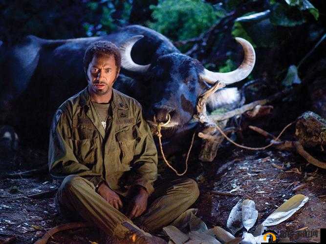 在充满荆棘的丛林中展开惊心动魄且令人难忘的冒险之旅