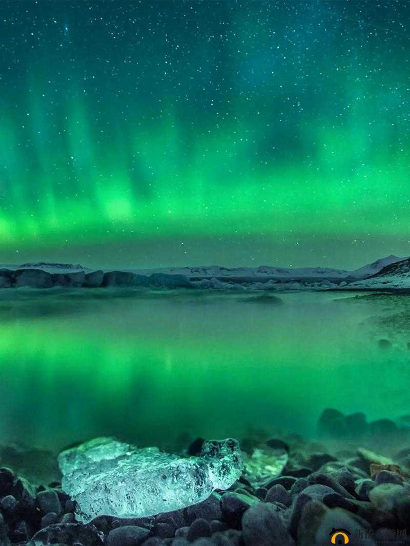 迷之国度惊奇之旅：弓箭手Delora的神秘解析