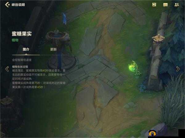 探索英雄联盟手游：蜜糖果实的隐藏位置攻略