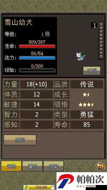 《我叫MT3：PK对战策略揭秘，宠物选择技巧全解析》