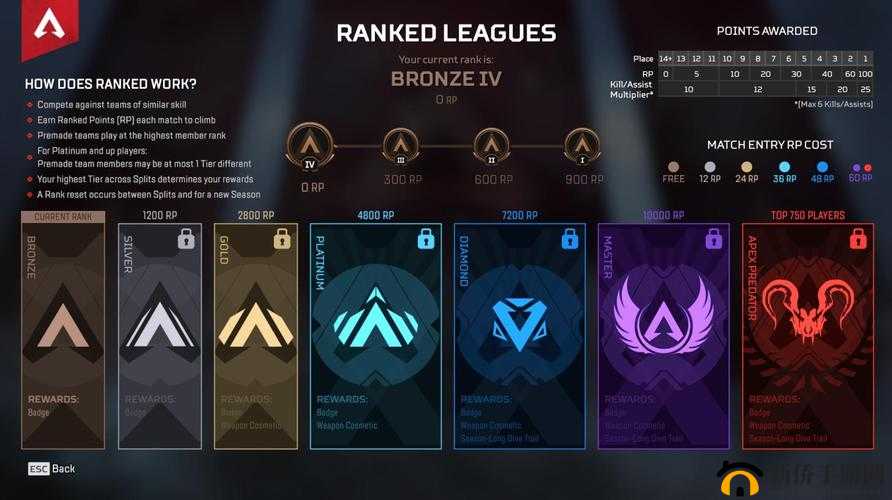 盘点排位赛中的非神即坑英雄：坑位背后的真相与应对策略