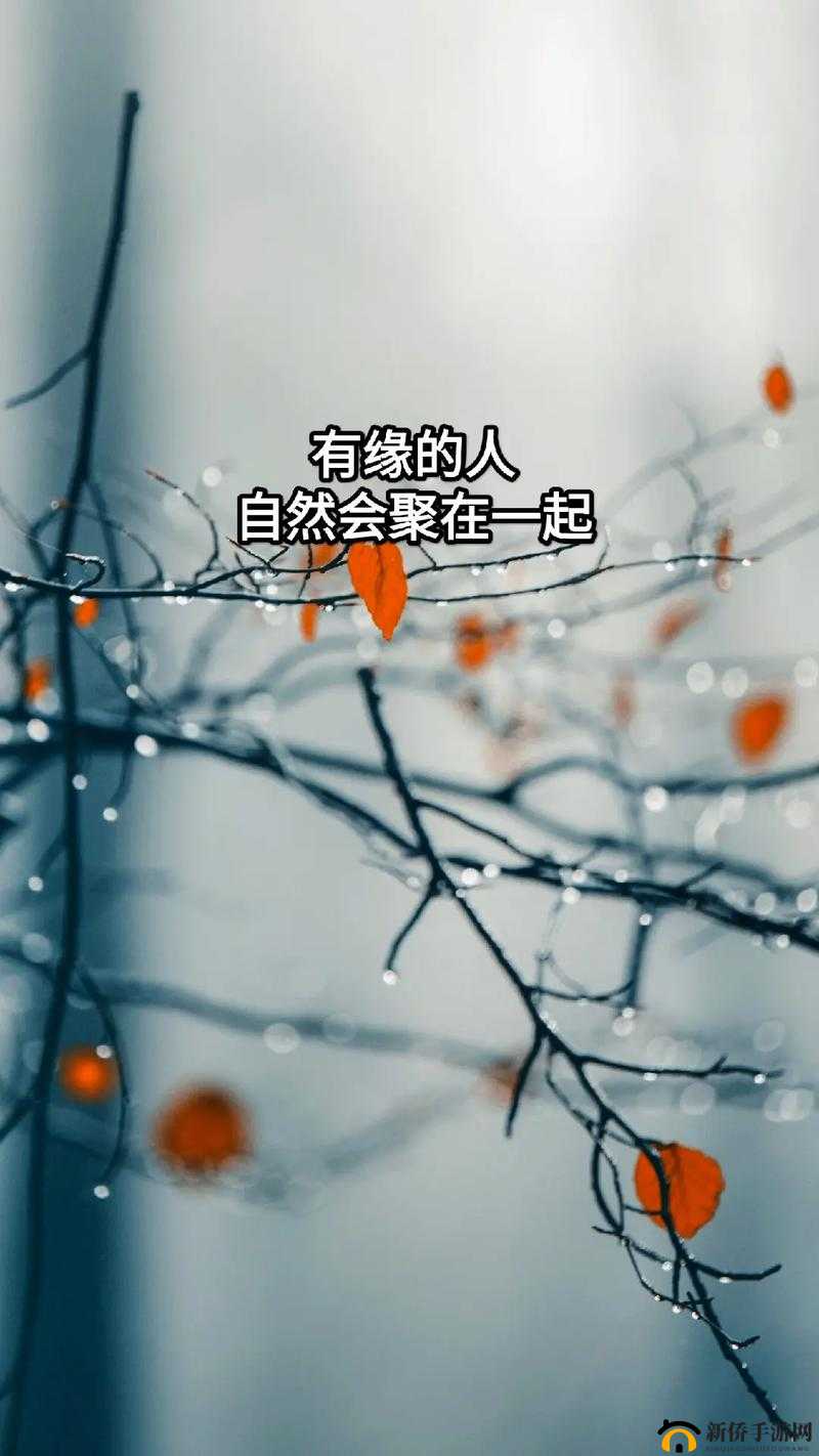 梦幻奇缘启航行，有缘坊里千里情相聚