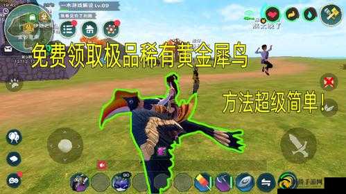 如何在创造与魔法中下载并获得黄金犀鸟
