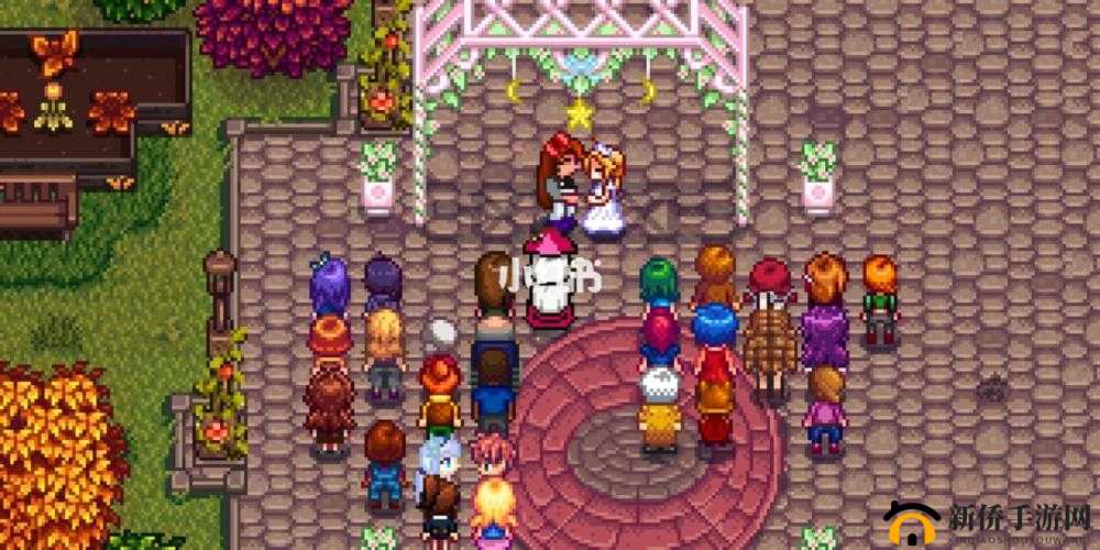 星露谷情缘：送花后的浪漫结婚指南