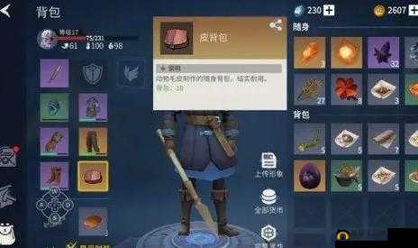 冰原守卫者攻略：皮背包的高效利用技巧