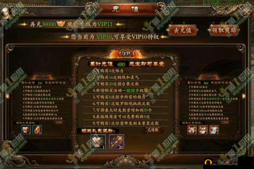 功夫少林 VIP9 特权全揭秘：你想知道的都在这里