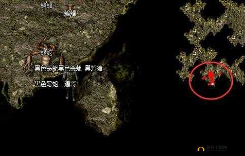 秘密入口 3 秒自动转接连接：通往未知的通道