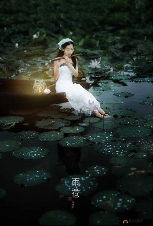 老人船上弄雨荷好吗：其背后的故事