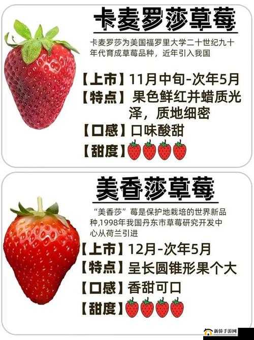 精产国品一二三产区草莓品质出众
