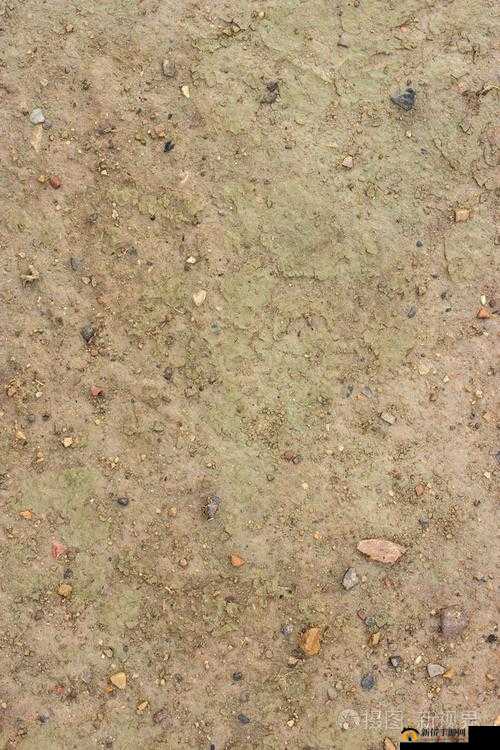 两峰夹溪，地湿无泥