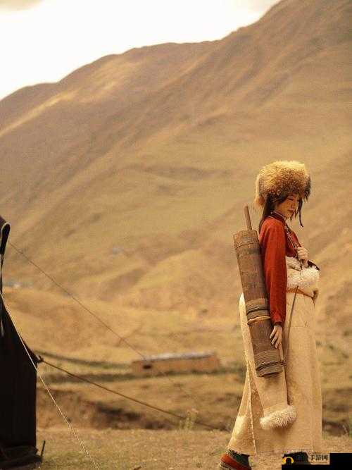 天堂草原最受欢迎的角色：其传奇之旅