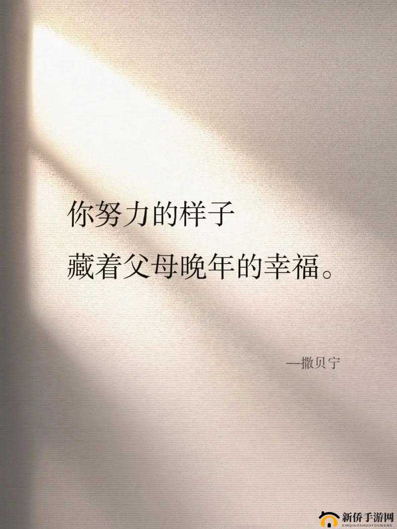 老王头的幸福晚年：那些温暖的时光