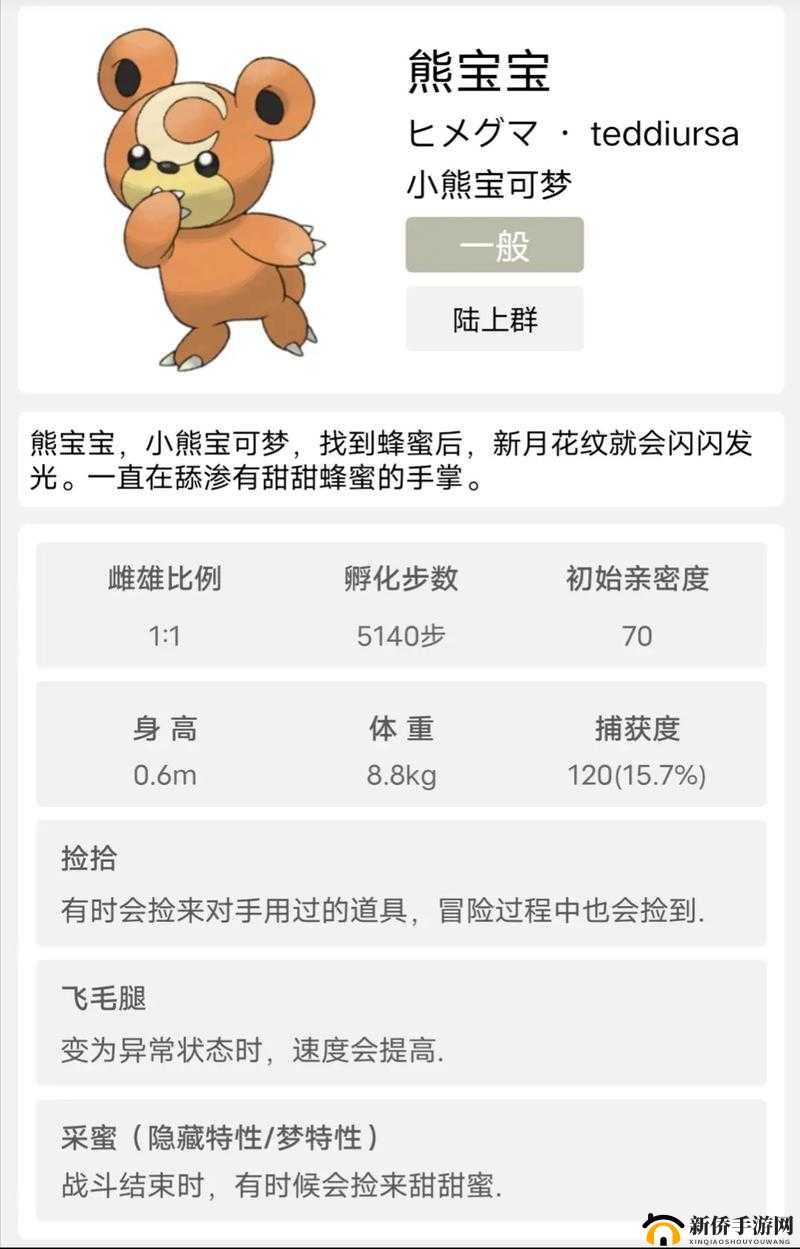 重探口袋妖怪重制手游：圈圈熊的性价比及技能属性深度解析