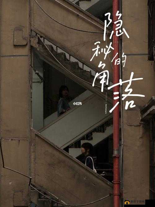 楼梯间的快乐你无法想象：背后的秘密