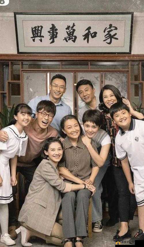 姐姐 4 免费观看大全电视剧中文版：精彩剧集不容错过