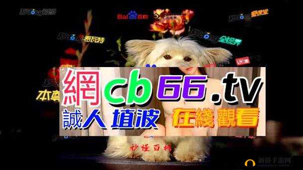 成品网源码 78w78 是什么相关内容解析