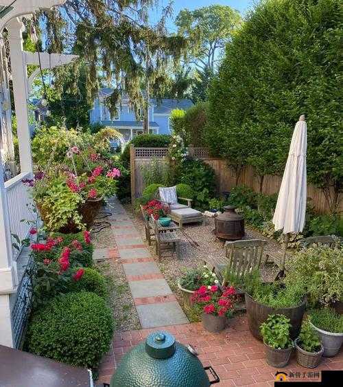 亲小花园技巧：如何更好地亲近小花园