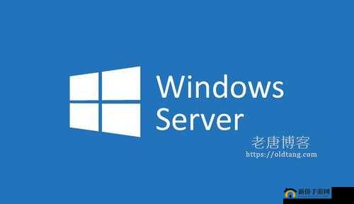 高清 VPS-Windows 日本：畅享高速网络体验