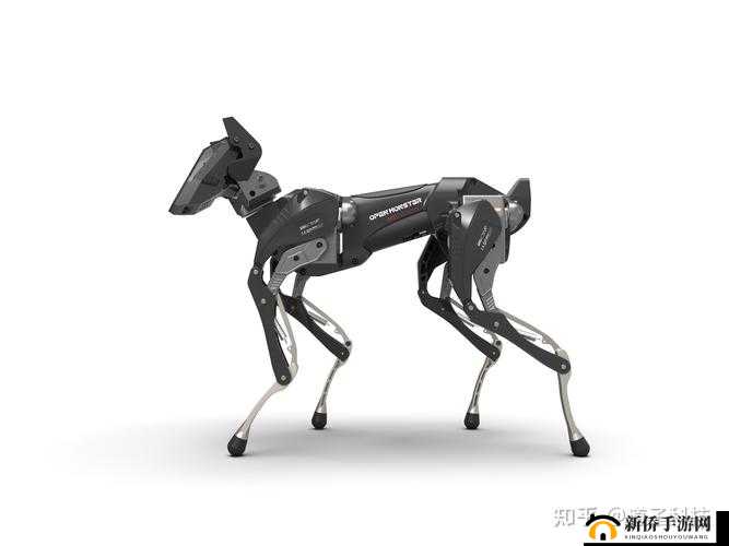 ZOOMSERVO 兽狗剧情解析之深度剖析