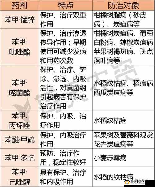 器材室 pingy 的用途是什么：探究其作用