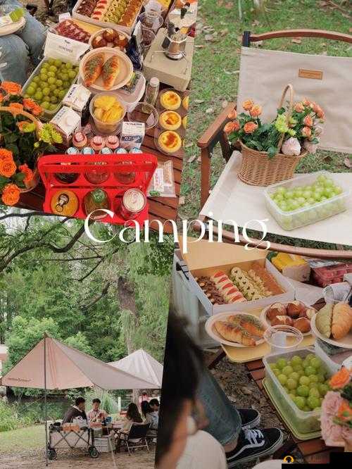 中国Windows 野外派对：欢乐相聚的精彩时光