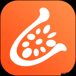 51大豆行情网仙林踪 2023 功能介绍