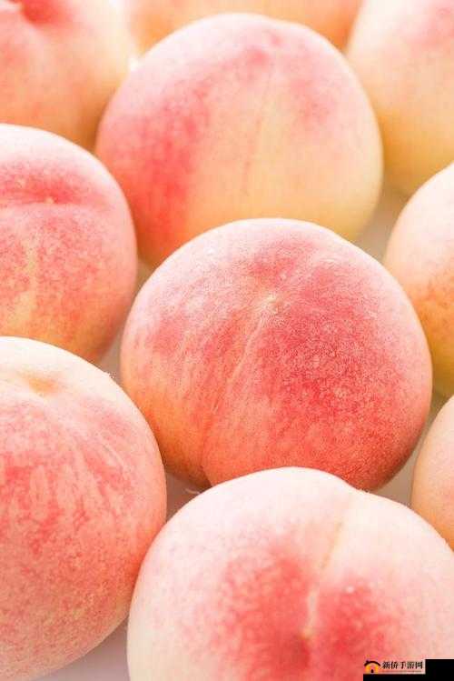 水蜜桃 12promax：多汁香甜的水果之王