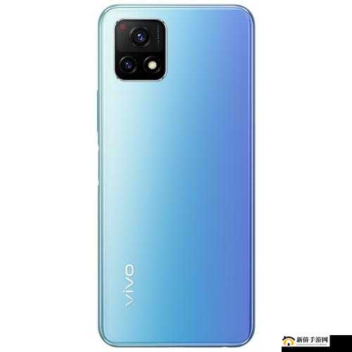 一级成色好 y31s 标准版评测：榜一大哥粉丝助力