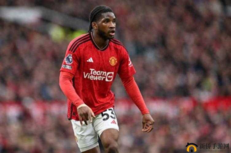 探索久产九人力资源有限公司丰沛有鱼：创新发展之路