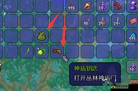 泰拉瑞亚丛林神庙进入方法：神庙大门用世纪之花钥匙打开