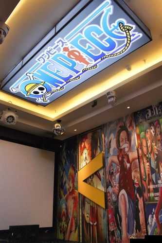 成都私人小影院品牌加盟海贼王 全是年轻人超喜欢