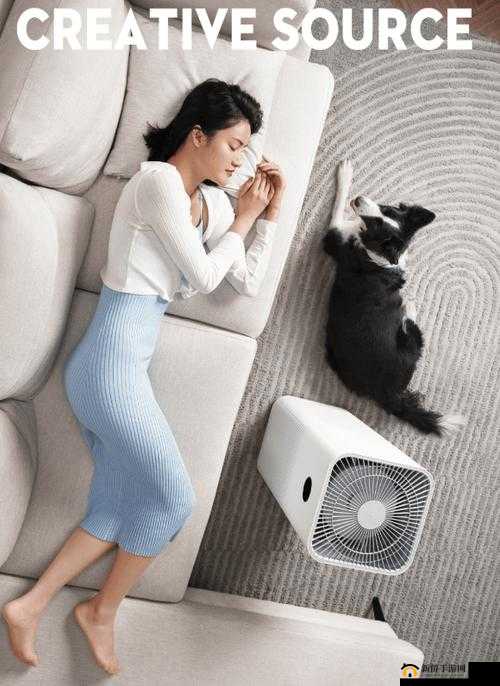 Temtem游戏中TC005净化位置详解：全面指南带您寻找净化之地