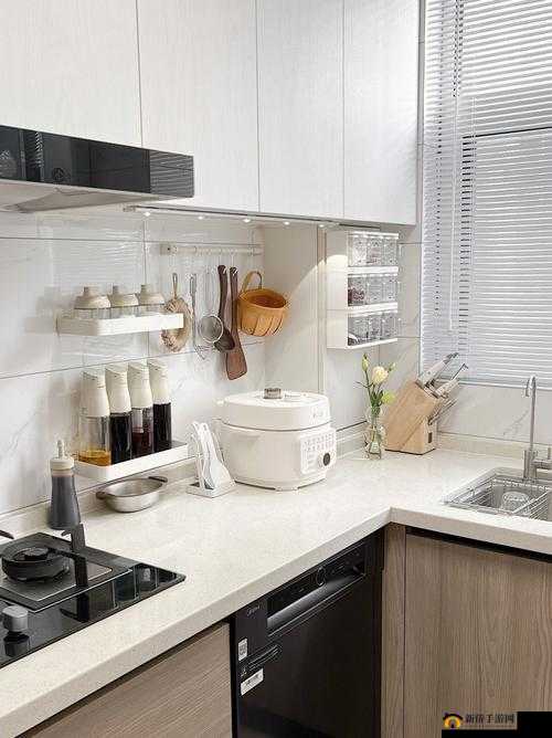 厨房一次又一次索要刷碗总-成了厨房的宠儿之奇闻