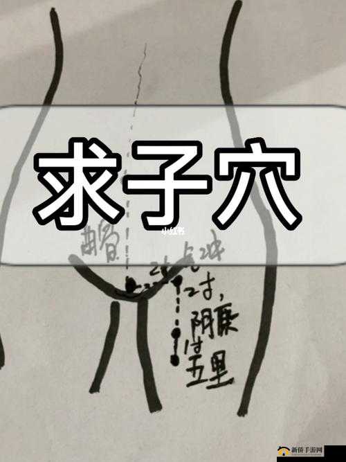 燕氏求子 4 合 1：求子秘籍大揭秘