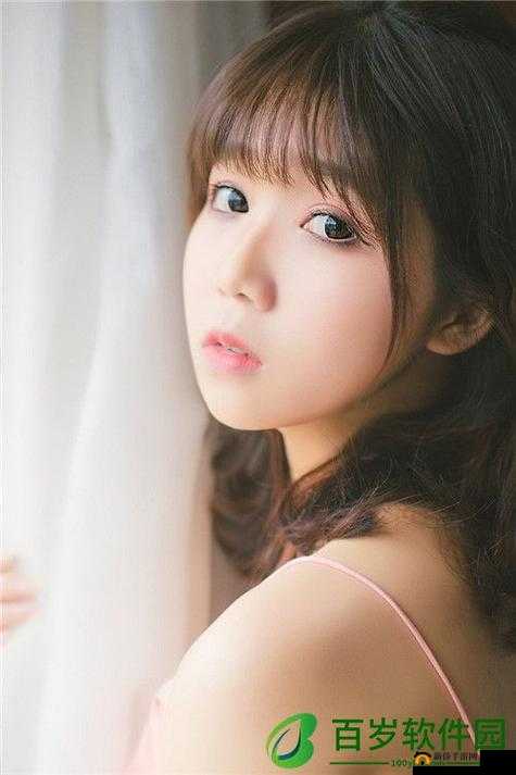 videocodecwmvideodecoder 魅力无穷