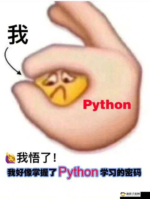 PYTHON 人狗：超越物种的友谊