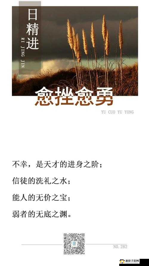 日日精进久久为功：持续成长的秘诀