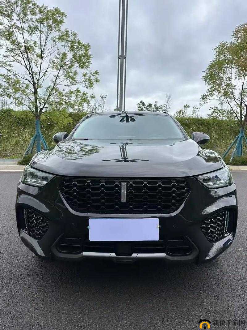 weyvv5 国产 SUV 视频：智能科技与驾驶乐趣的完美结合