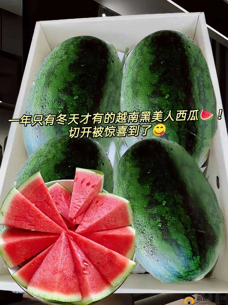 51cg 今日大瓜必吃：吃大瓜，享快乐