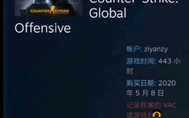 17 岁俄罗斯 CSGO 被曝将再次关闭