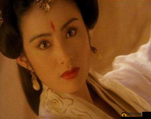 白洁赵敏张倩：联手出击