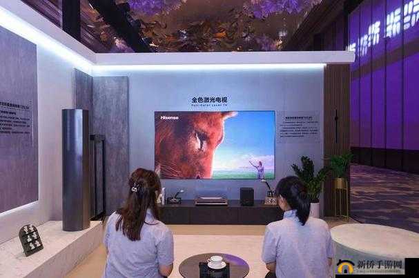 私人 IMAX 家庭影院：震撼视听，畅享极致观影体验