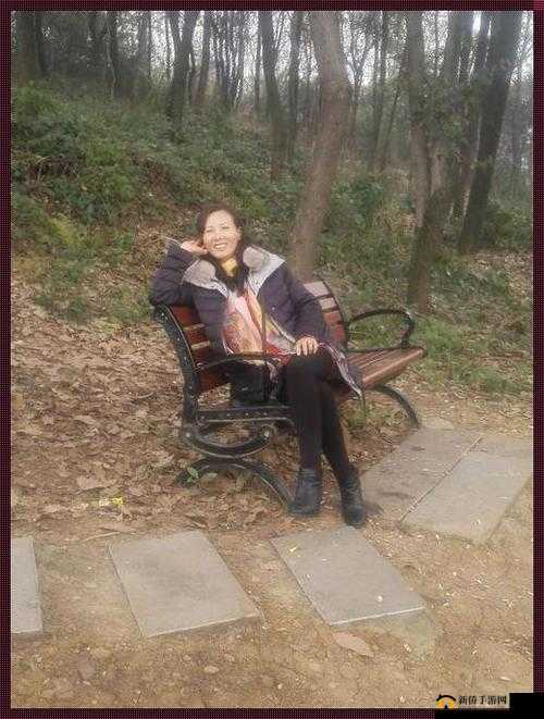 法国老人做交易森林：背后的故事