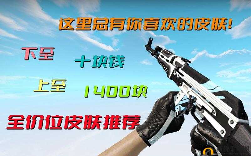 CSGO 暴躁少女玩家群体分析：特点与成因探讨