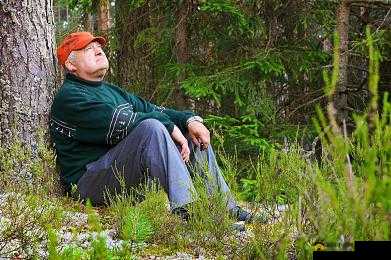 bgmbgmbgm 老头野外漫步：悠然自得的画面